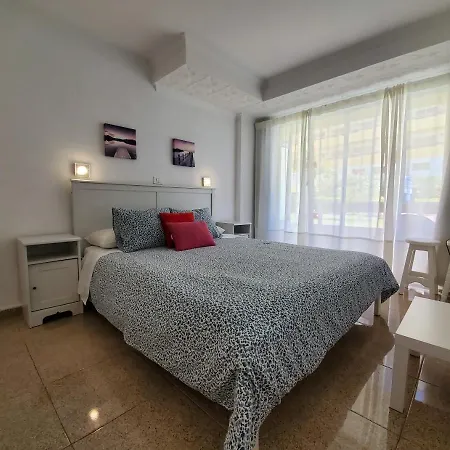 Camelias Ci17 *