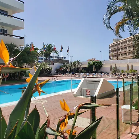 Camelias Ci17 * Playa del Ingles (Gran Canaria)